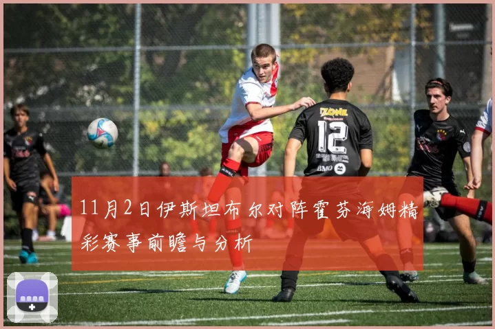 11月2日伊斯坦布尔对阵霍芬海姆精彩赛事前瞻与分析