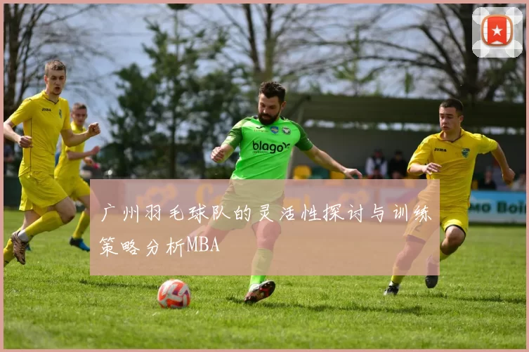 广州羽毛球队的灵活性探讨与训练策略分析MBA