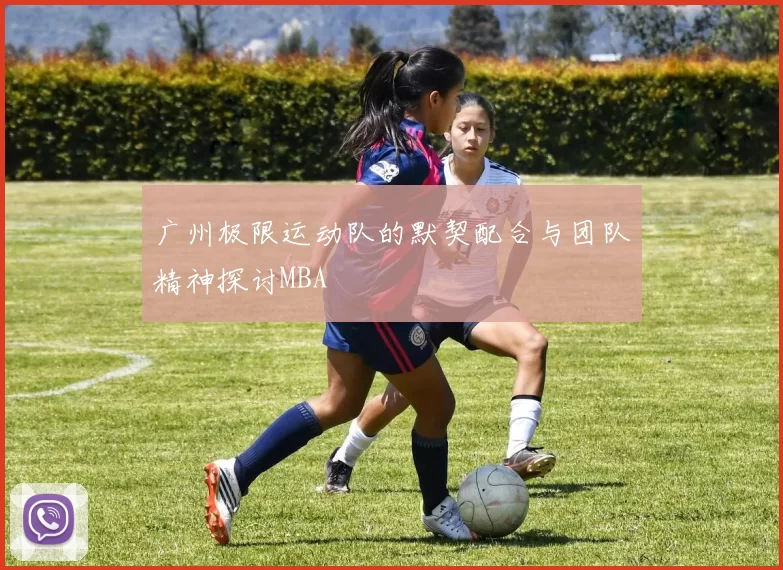 广州极限运动队的默契配合与团队精神探讨MBA