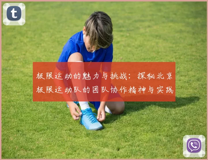 极限运动的魅力与挑战：探秘北京极限运动队的团队协作精神与实践MBA